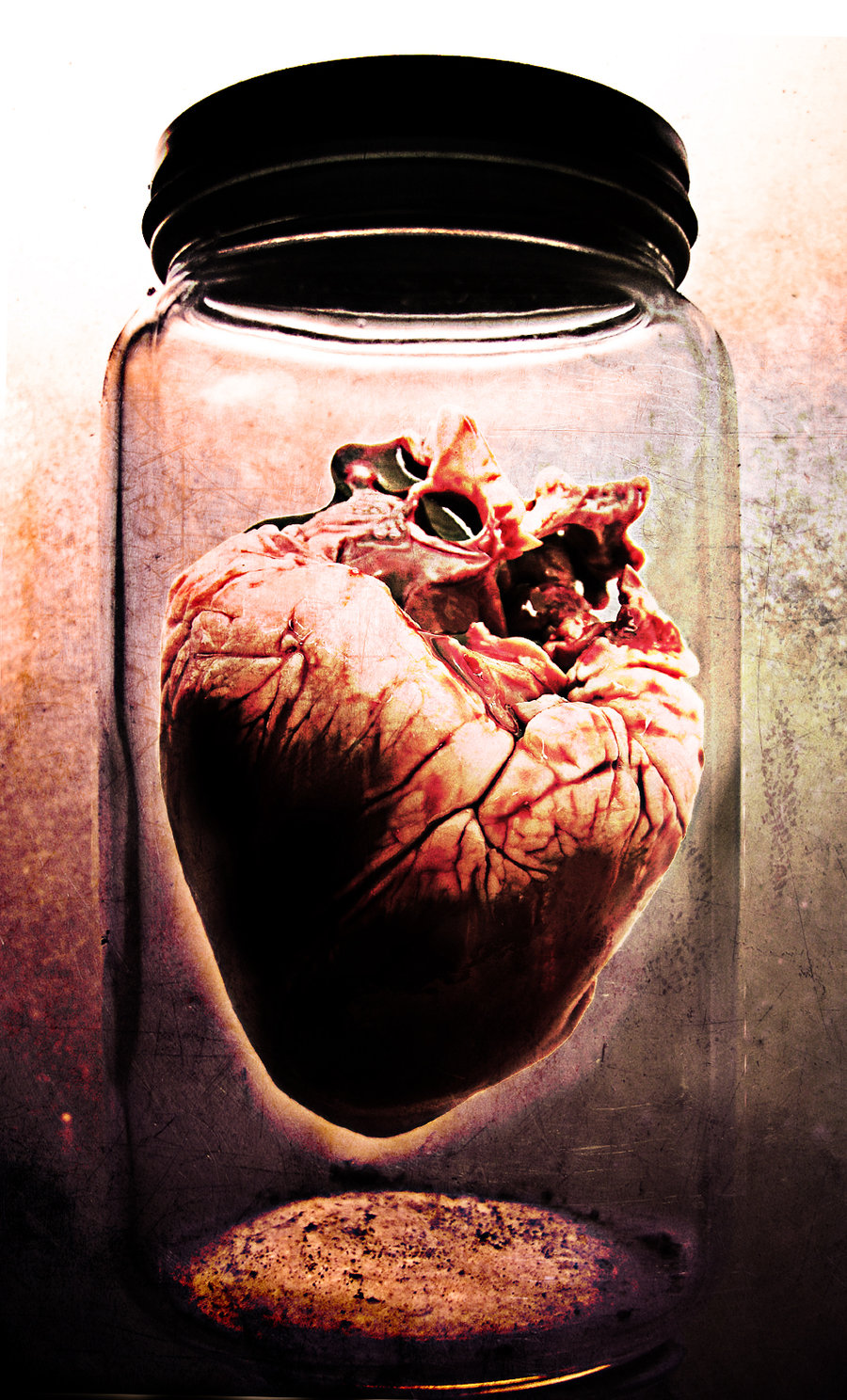 All I adore Jar_of_hearts_by_meandarksmile-d36ul8g